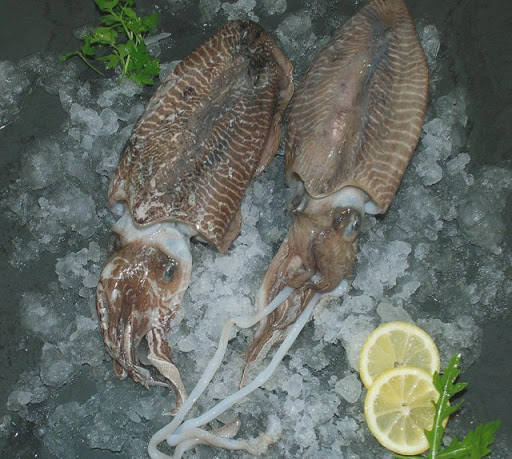 Premium food products display